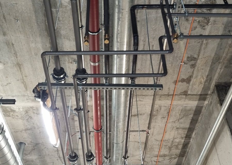 photo5